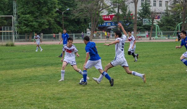 都在观众的 都在观众的