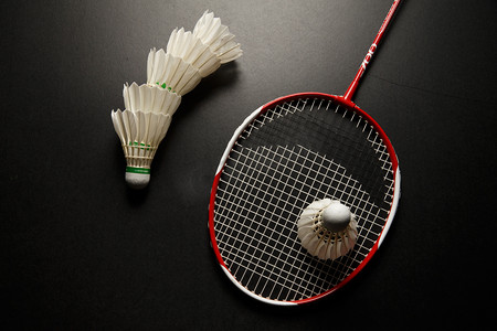 围棋逐渐成 围棋逐渐成