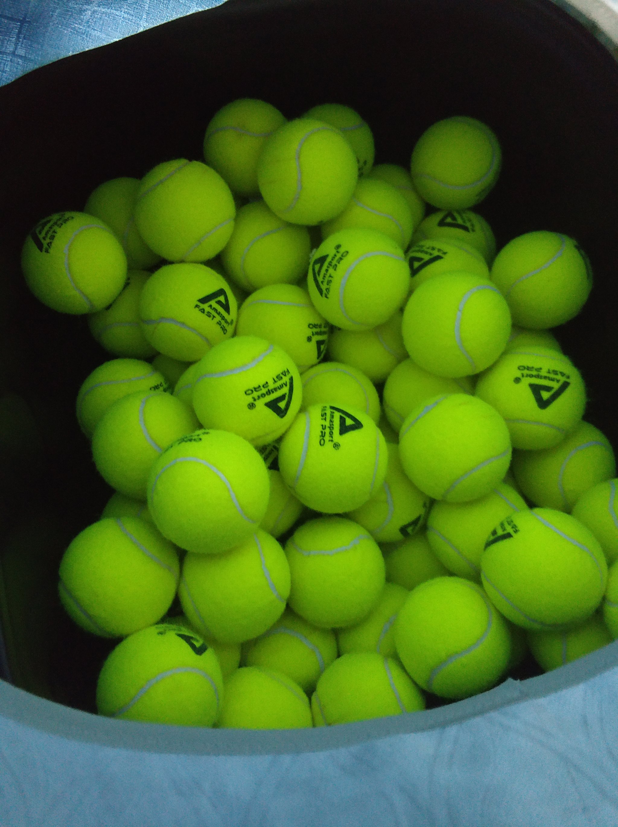 绿军的侧翼 绿军的侧翼